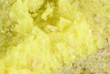 Sulfur Crystal Cluster on Matrix - Nevada #129732-1